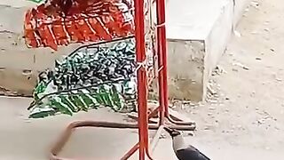 *????ہمارے حکمرانوں کو دیکھ دیکھ کر پاکستان میں پرندے بھی چوری کرنے لگے*
