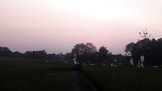 Animal lovers 400