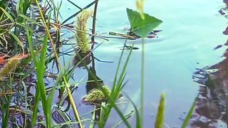 Beautiful Relaxing Video | Amazing Scenery | Calm and Relax | febspotvideo