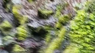 Beautiful nature 72