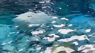 life motivation 18