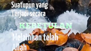 wise words of life 9