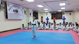Taekwondo Fight