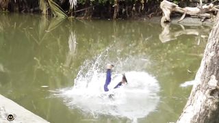 ALUMINIUM DISH "PUBLIC PRANK"