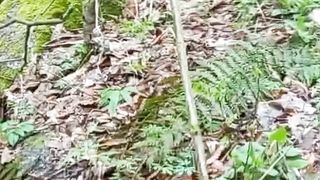 Beautiful nature 73