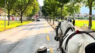 AMAZING VIDEO 4