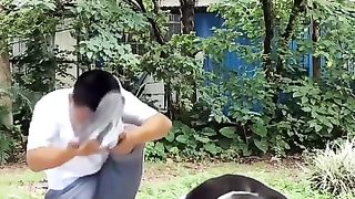 Funny cat videos 2023 2