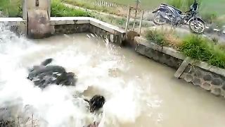 NASIP_SI_BISU_._Exstrim_Lucu_The_Series___Funny_Videos_2022___Kemekel_Tv(360p). Mengunggah