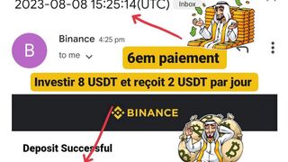 6em paiement, investir 8 USDT et reçoit 2 USDT par jour