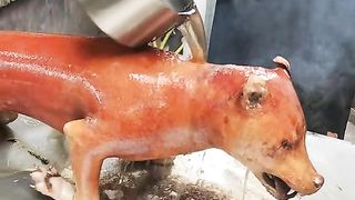 fried dog meat