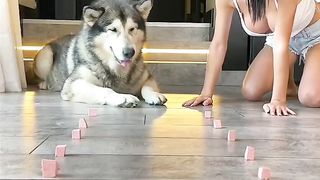 Play game