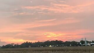 Beautiful Afternoon