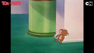 Happy International Cat Day - Tom and Jerry Cartoon -