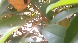 Animal lovers 438