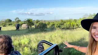 SAFARI DE LUJO EN ÁFRICA _ Lion Sands - Ivory Lodge Sudáfrica