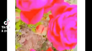 Flowers 1