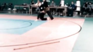 Martials arts fight