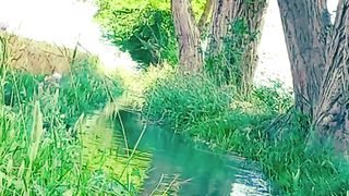 Nature View |Relaxing Nature | Water Flowing | Peaceful | febspot