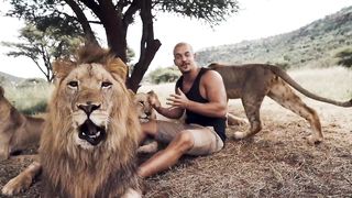 Part of the lion pride