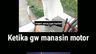 Video lucu 97