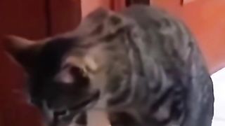 Amazing Video |Respect|Awesome Video