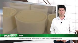 В Борино, Доспат и Сърница са шампиони по минимандри Agro TV Bulgaria