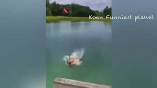 Funniest Dogs And Cats Videos ???? - Best Funny Animals Videos 2023???? 2