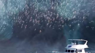The sea is full of zombie