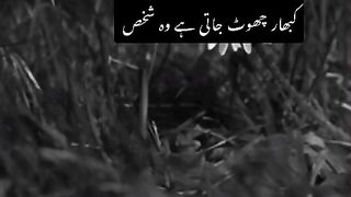 Power Of Namaz???? Power Of Allah greatest save #shorts #namaz #viral #motivation#shortsfeed #whatsapp