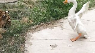 WoW????????????funny videos ???? Power  #shorts #namaz #viral #motivation#shortsfeed #whatsapp
