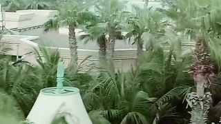Aqua Venture Water Park