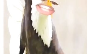 Paranda sa panga
