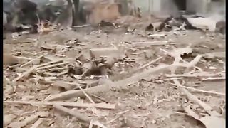 КАДРИ ОТ СЕРГИЕВ ПОСАД