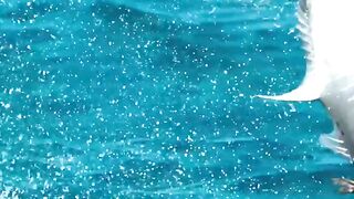 WoW ???? Power Of Love ???? #shortsfeed #youtubeshorts #whatsapp #status # #naat #allah #foryou