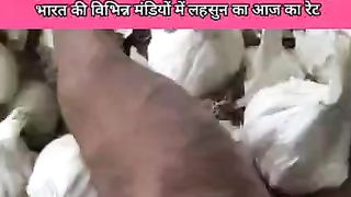 नीमच/मंदसौर/कोटा मंडियों में आज क्या भाव बिचा लहसुन