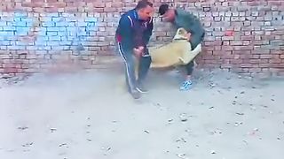 Line action