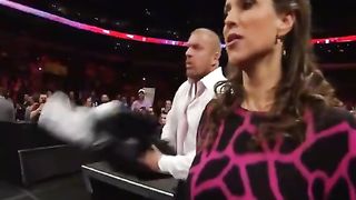 WWE реслинг 65