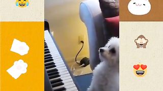 Приколи 298