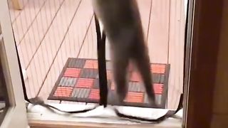 Приколи 303