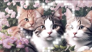 You Won't Believe The Possesive Reason Cats Rub Against You! 2