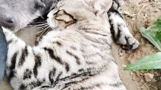 Aren't you ashamed that you're big and you're still nenen???????????????????