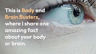 The Amazing Ability of Your Eyes:  A Colorful Fact