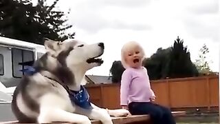 FUNNY VIDEO 15