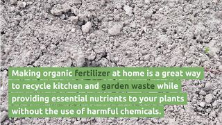 How to Make Organic Fertilizer at Home