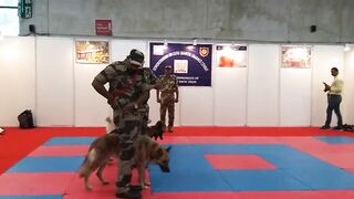 Watch U.S. and Philippine Military Dogs Take Part in Epic Training Exercise!. 2