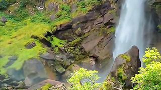 The quiet of nature