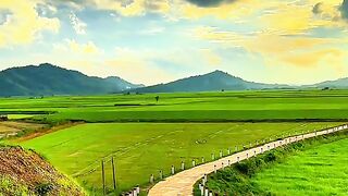 To feel the country roads