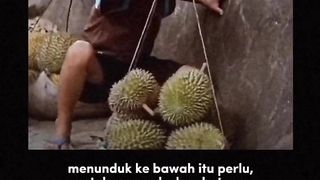 Motivasi hidup semangat