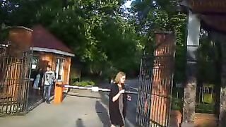 Löwen in der Woronzow-Park.