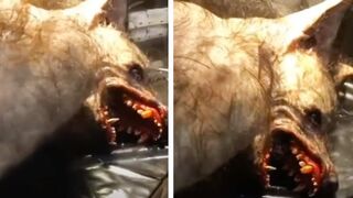 A Farmer Discovered Something Weird Outside His Farm Fields